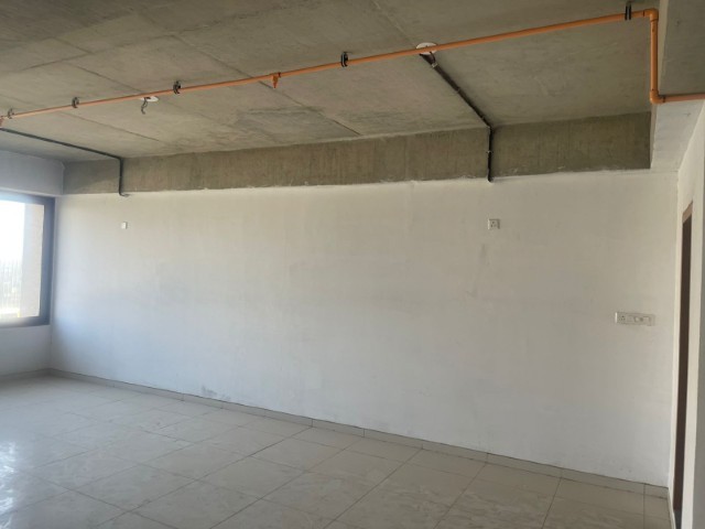 Office 1075 Sq. Ft. Commercial Office for Rent in Jagatpur Ahmedabad - Media 2