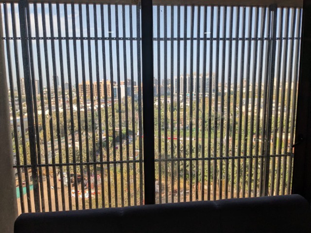 Office 865 Sq. Ft. Commercial Office for Rent in Sindhu Bhavan Road Ahmedabad - Media 8
